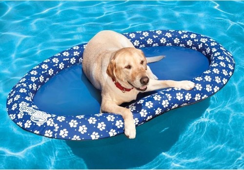 Swimways paddle paws dog pool - paddle,