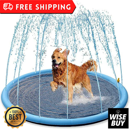 Dog pet splash - dog,