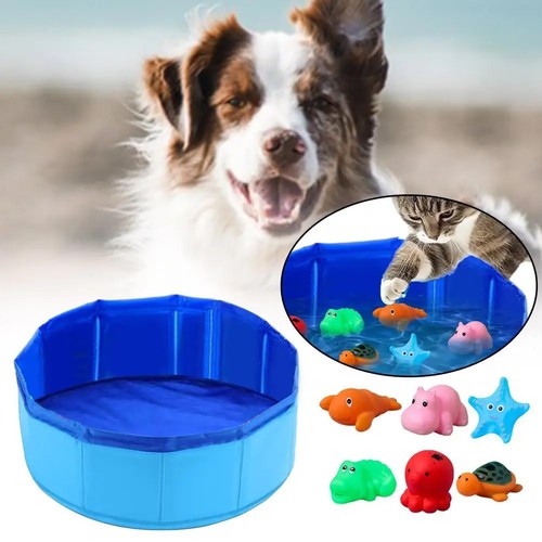 Portable pet bath - dog, swimming